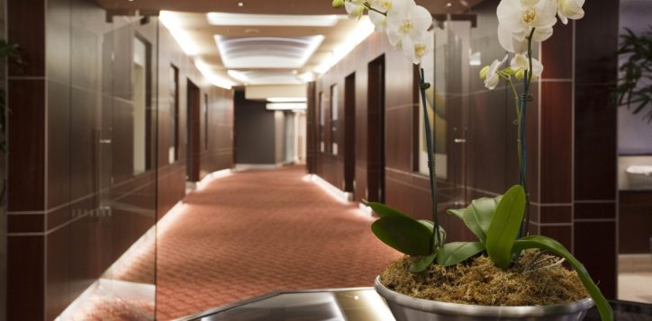 princes-ballroom-hallway-entrance-2-2