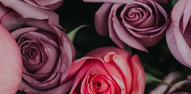 1516930452691_valentinesday475x1800notext-00-2