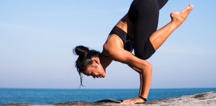 1522043033400_vinovinyasa475x1800websiteheroimage-00-2