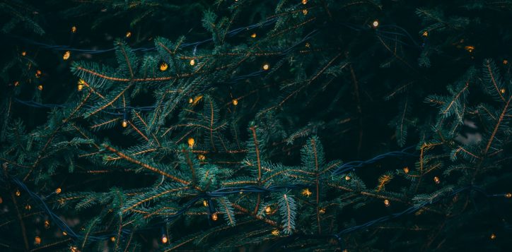 kieran-white-sbdmqcw8qag-unsplash-2