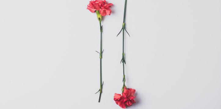 edward-howell-ywk-7xpyzus-unsplash-2