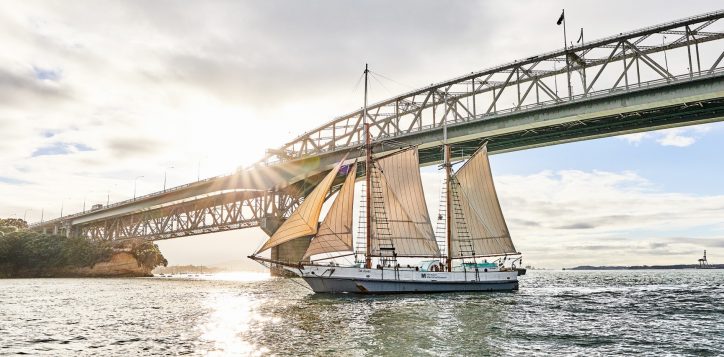 ted-asby-with-harbour-bridge-2-2