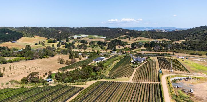 aerial-image-of-waiheke-island-with-vineyards-nestled-amongst-open-fields-and-hills-2
