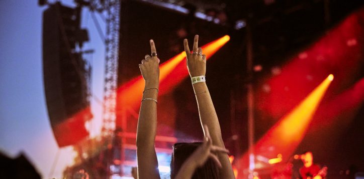 hands-up-in-crowd-at-laneway-in-evening-2