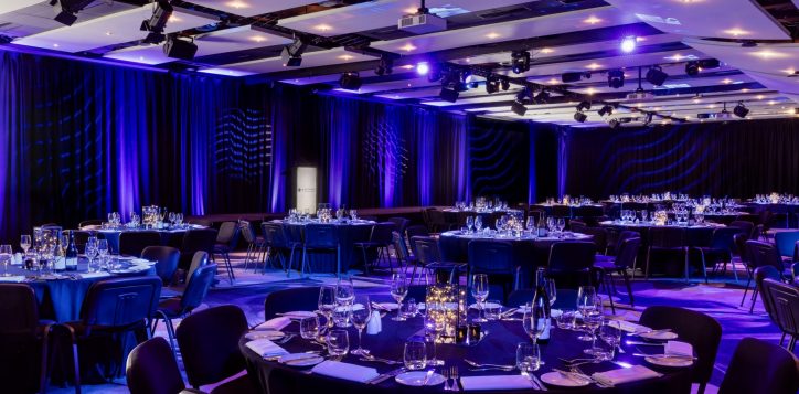 princes-ballroom-dinner-shot-2